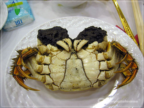                   大闸蟹的背面